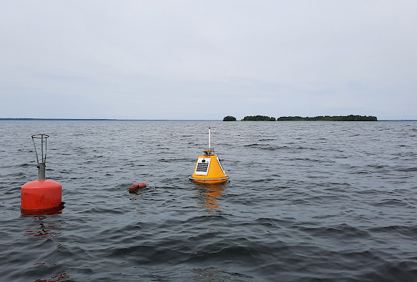 Uutisartikkelin kuvituskuva